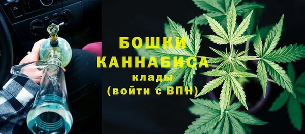 2c-b Богородск